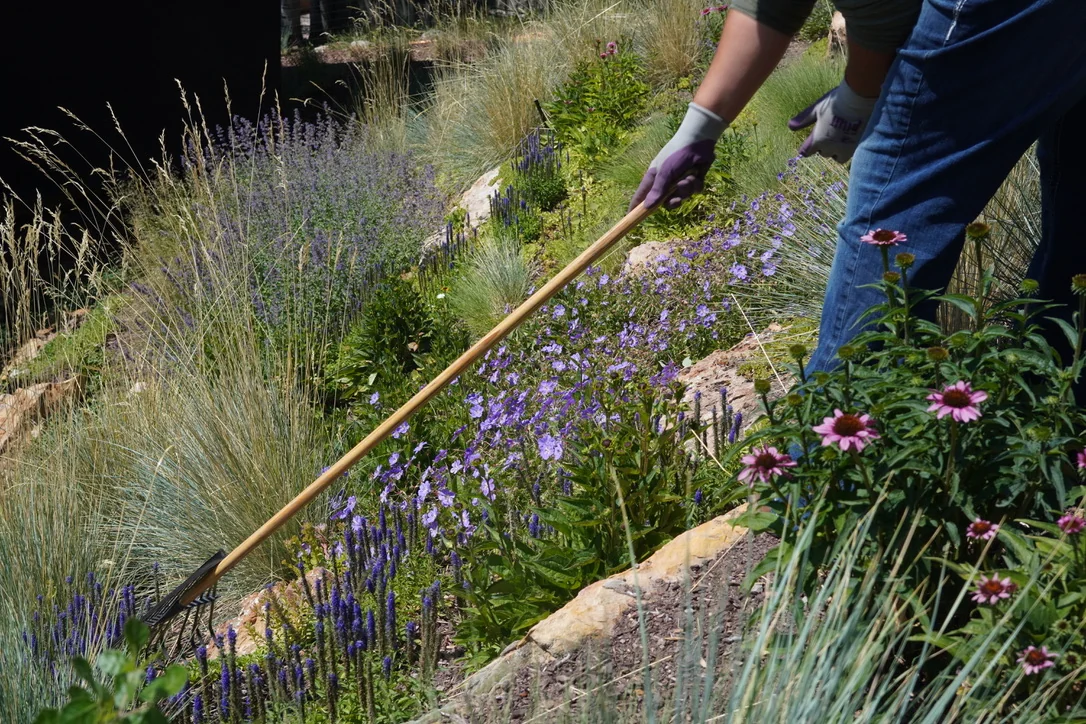 Landscape maintenance — Isabel Stone Studios