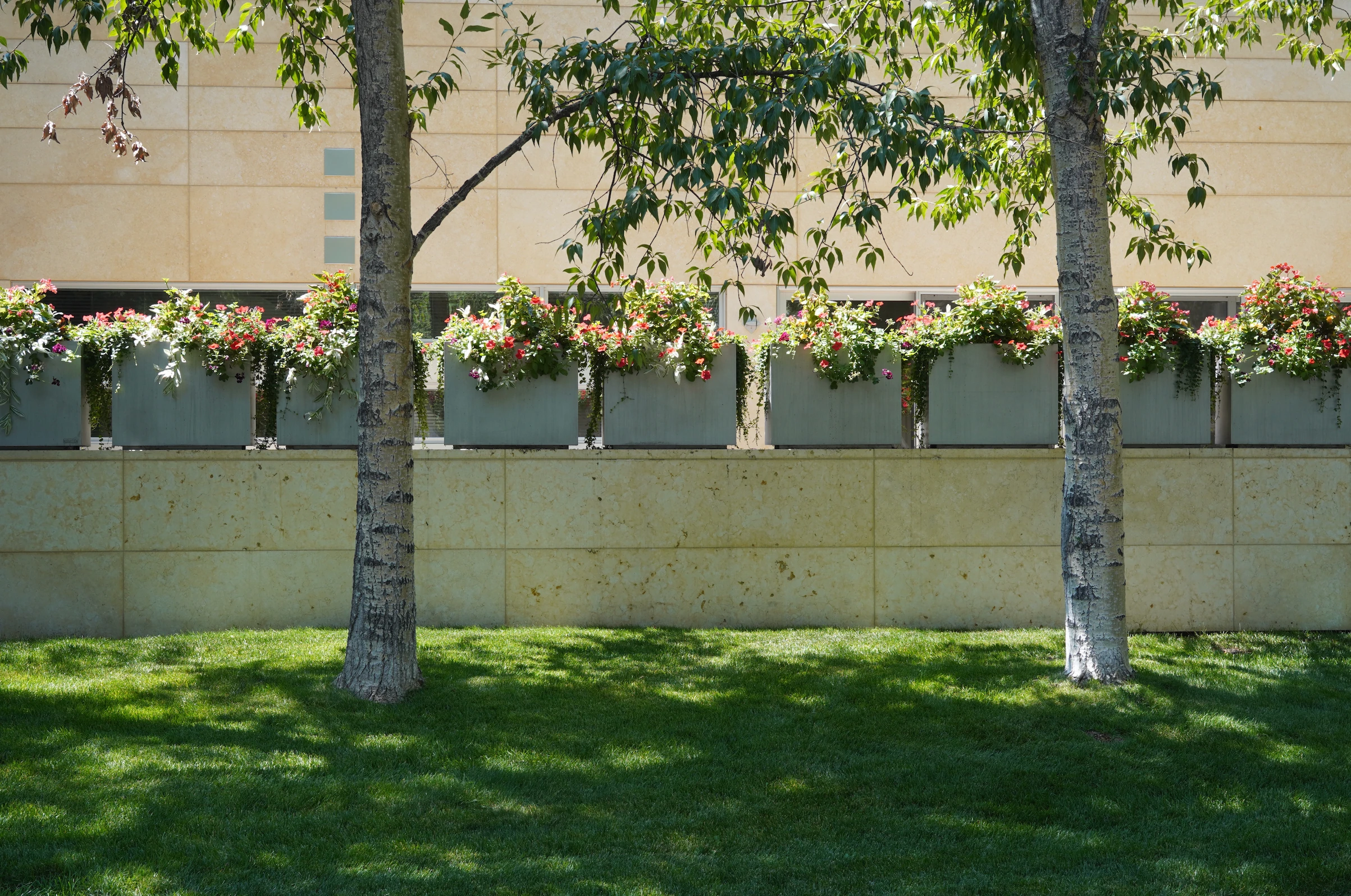 Container Gardens, custom seasonal container gardens for Aspen and Snowmass: design, install, and care for patios, entries, and terraces
