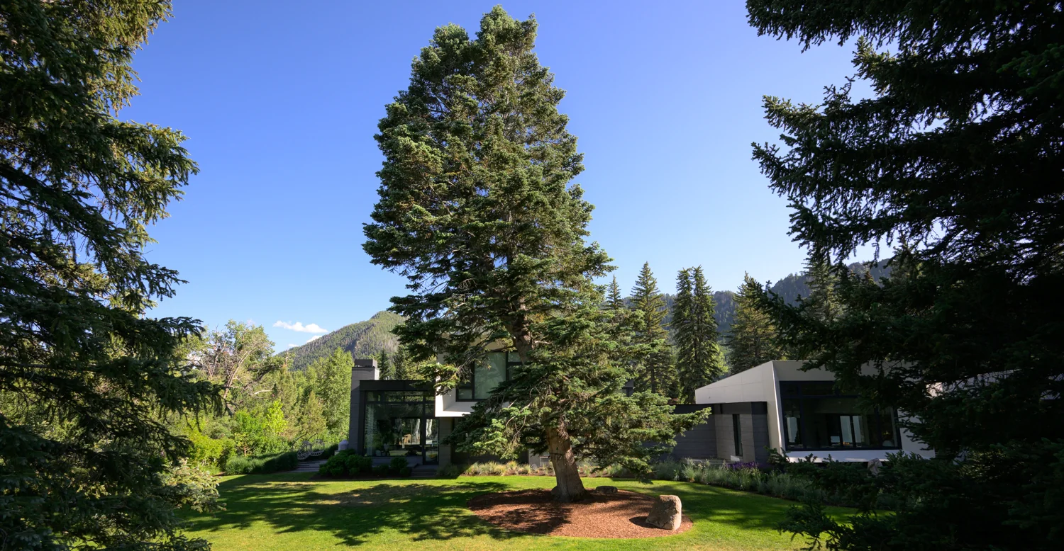 Container plantings and seasonal color at a Colorado mountain property