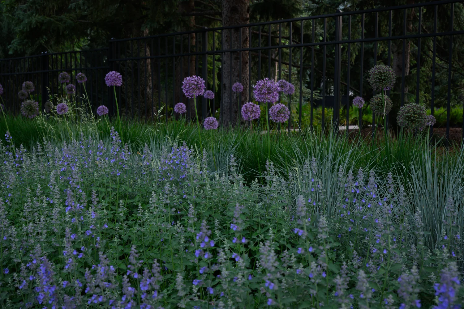 Entry landscape and exterior plantings at a mountain residence