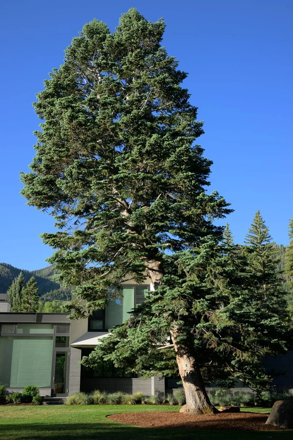 East Francis, image 11