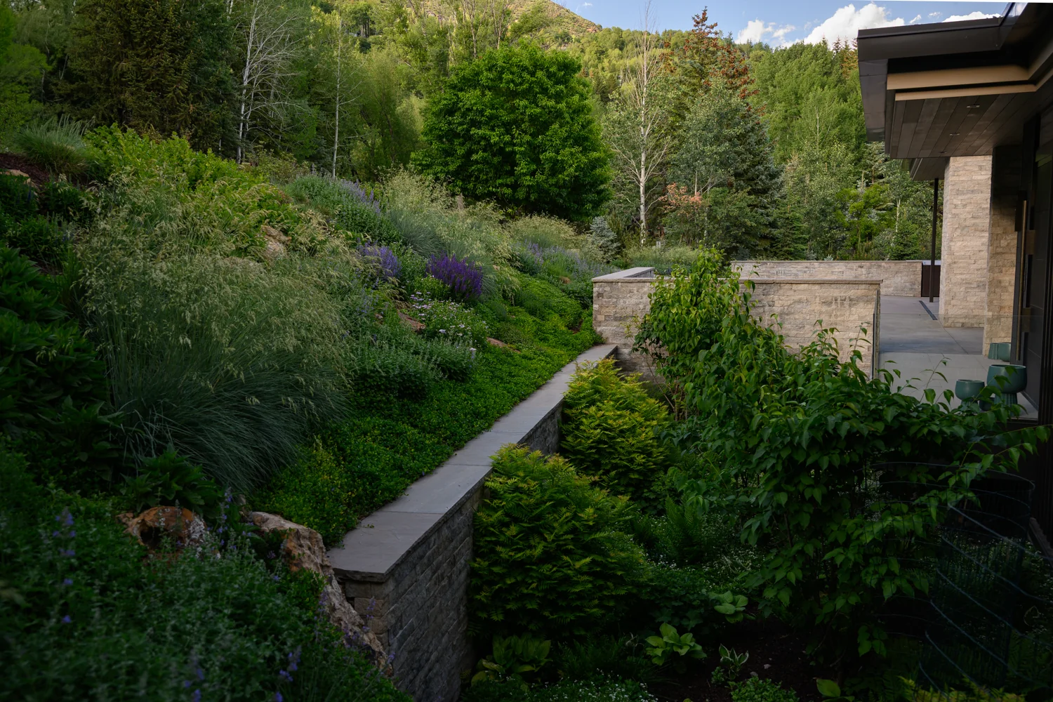12 Salvation — Aspen Snowmass · Landscape & outdoor living