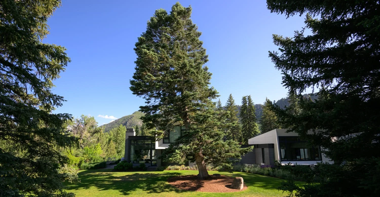 East Francis, image 36
