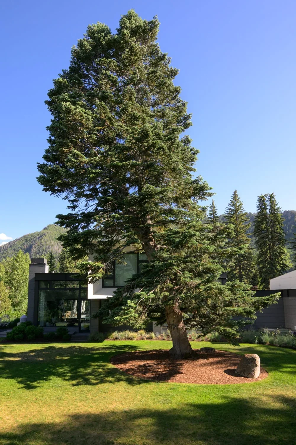 East Francis, image 37
