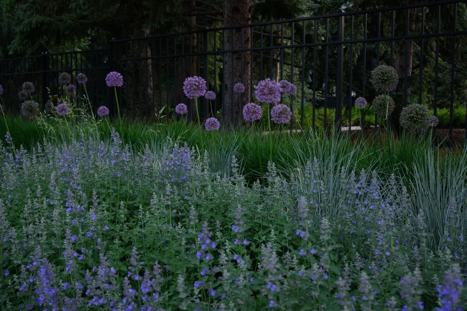 Residential landscape and plantings in the Roaring Fork Valley — Isabel Stone Studios services