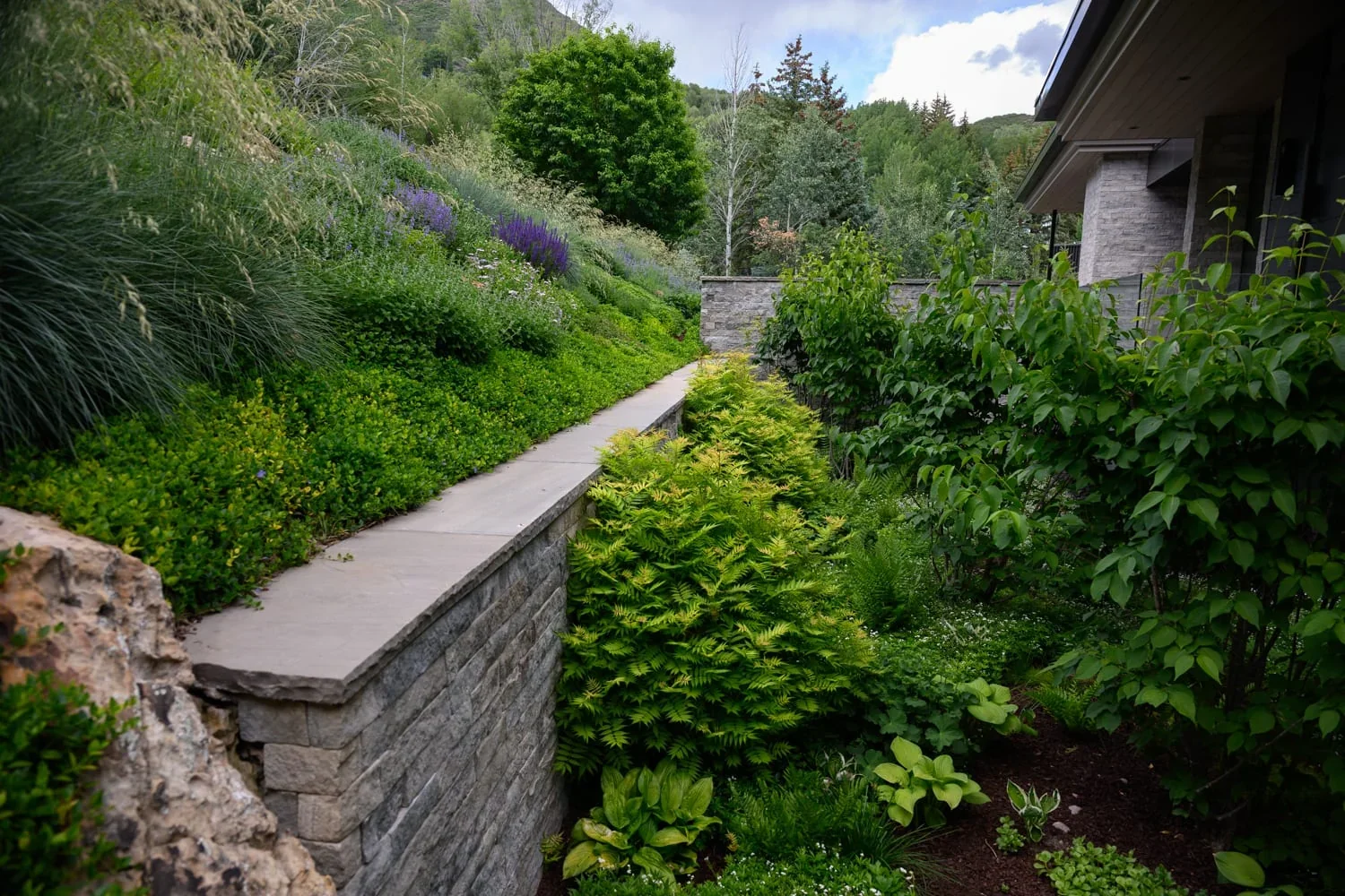 Isabel Stone Studios landscape work