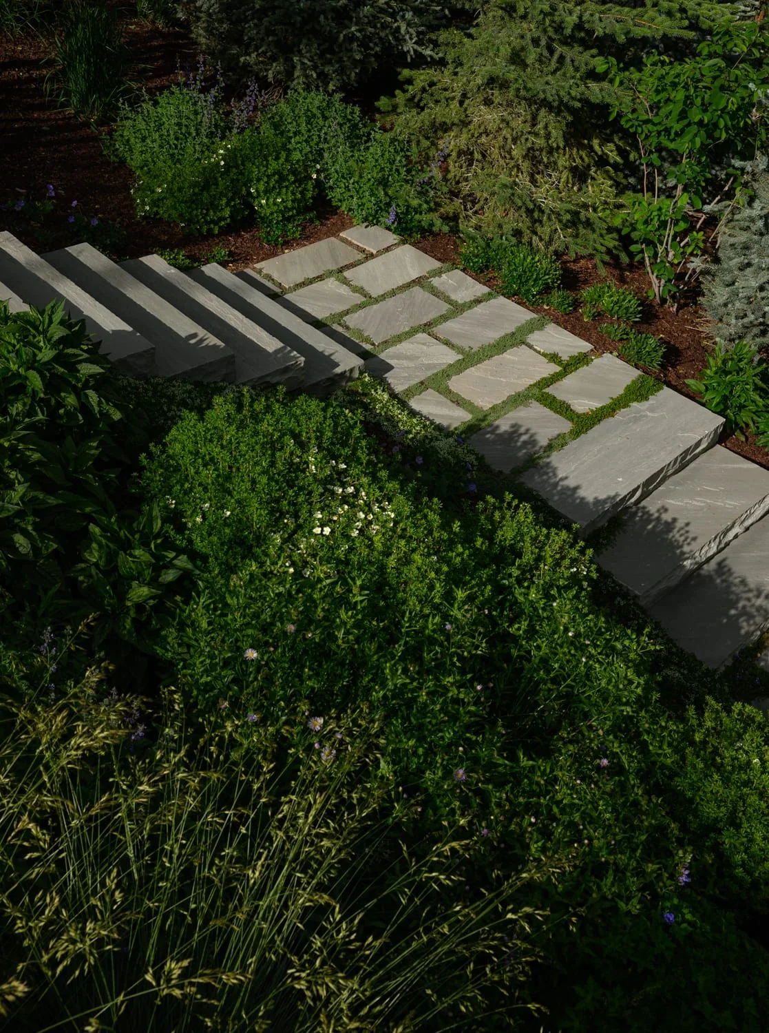 12 Salvation, image 12