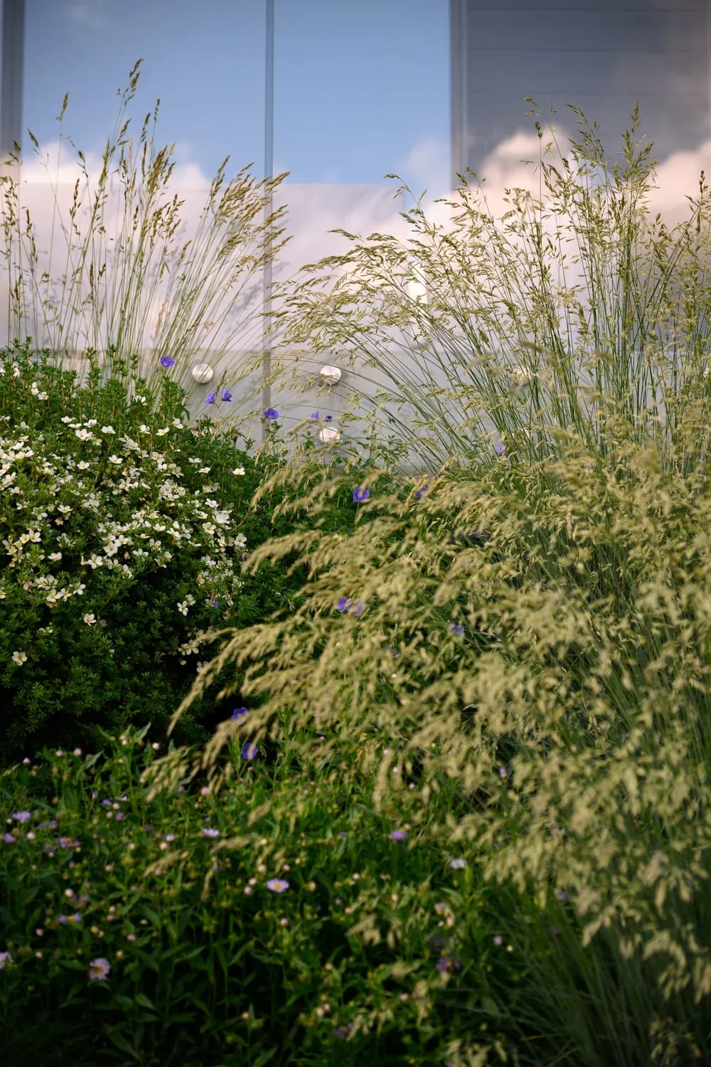 12 Salvation, image 18