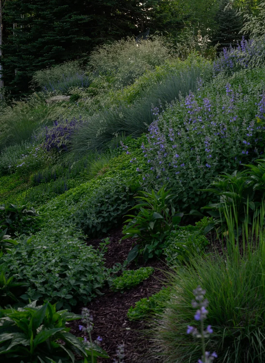 Residential landscape — Aspen Snowmass
