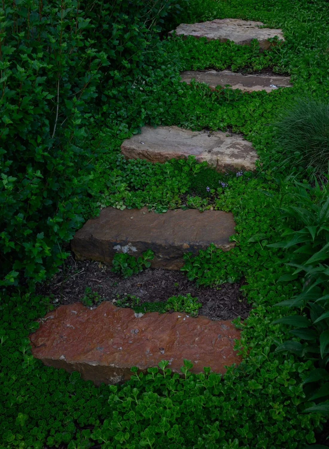 12 Salvation, image 27