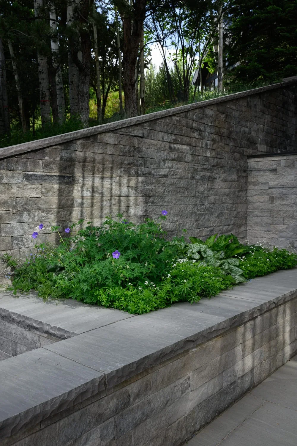 12 Salvation, image 3