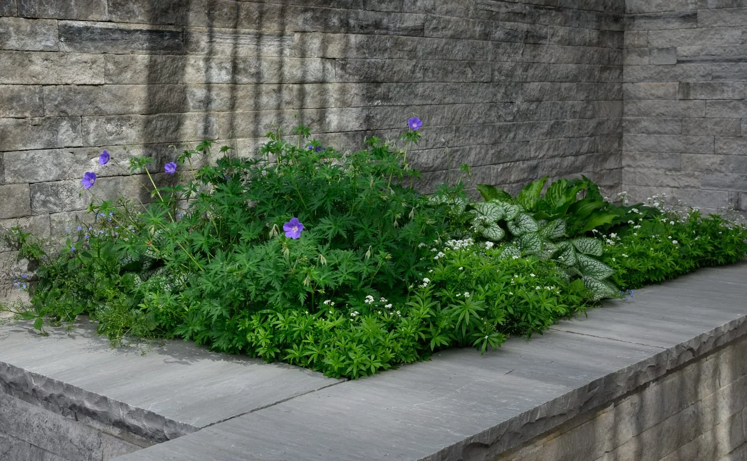 12 Salvation, image 4
