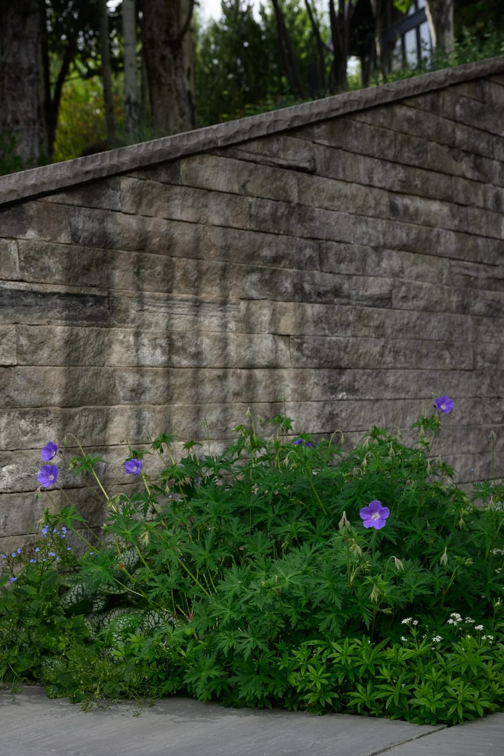 12 Salvation, image 5