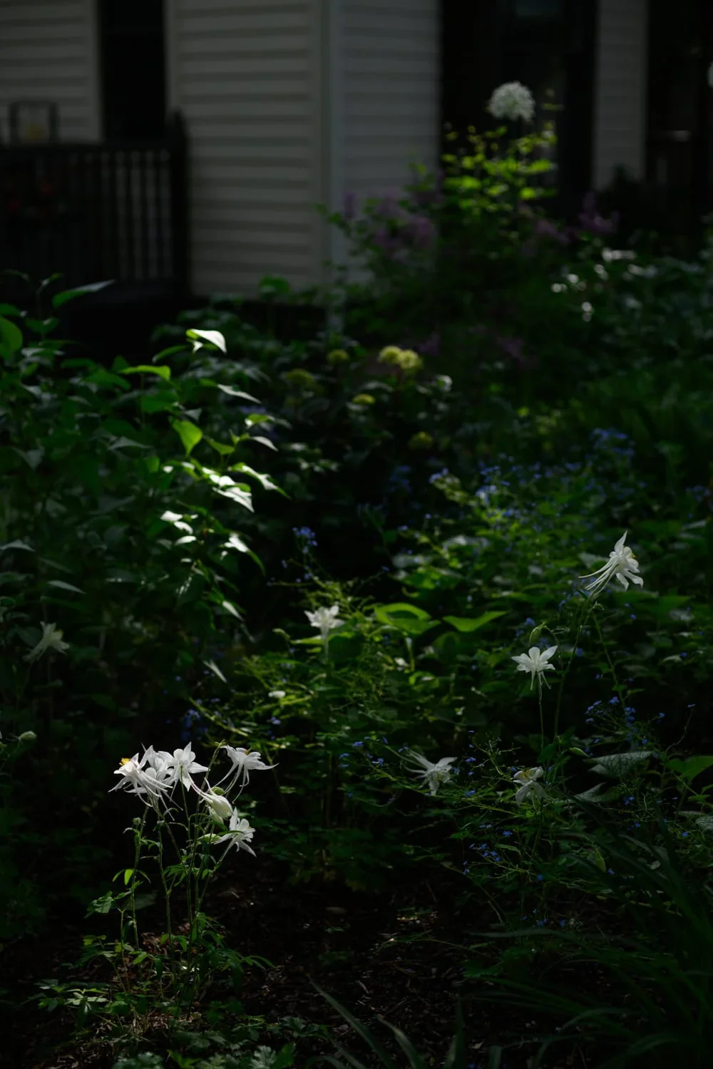 610 Hallam, image 18
