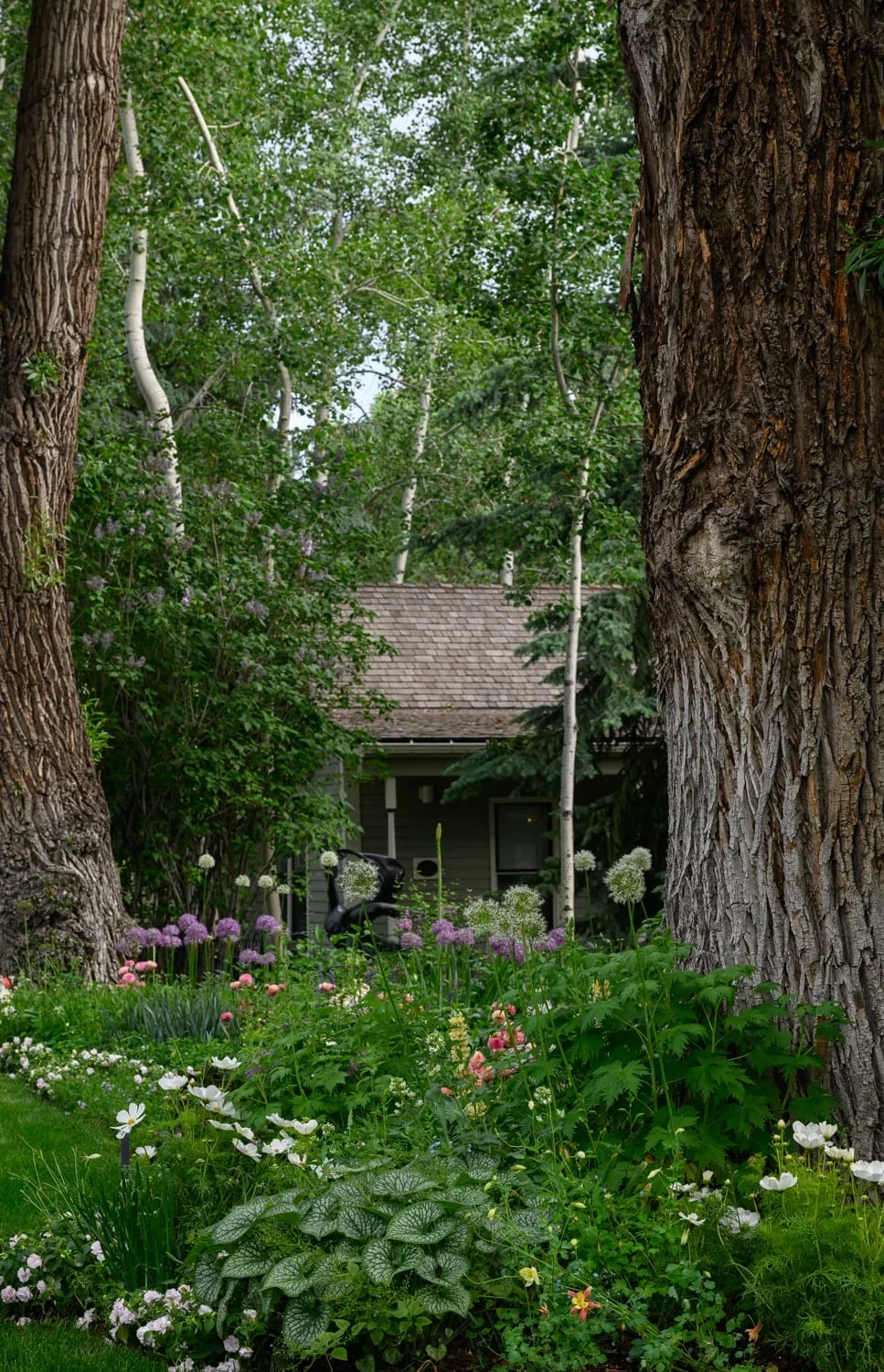 610 Hallam, image 5