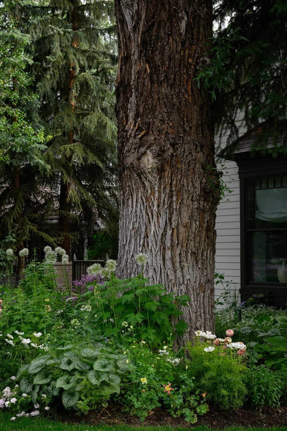 610 Hallam, image 6